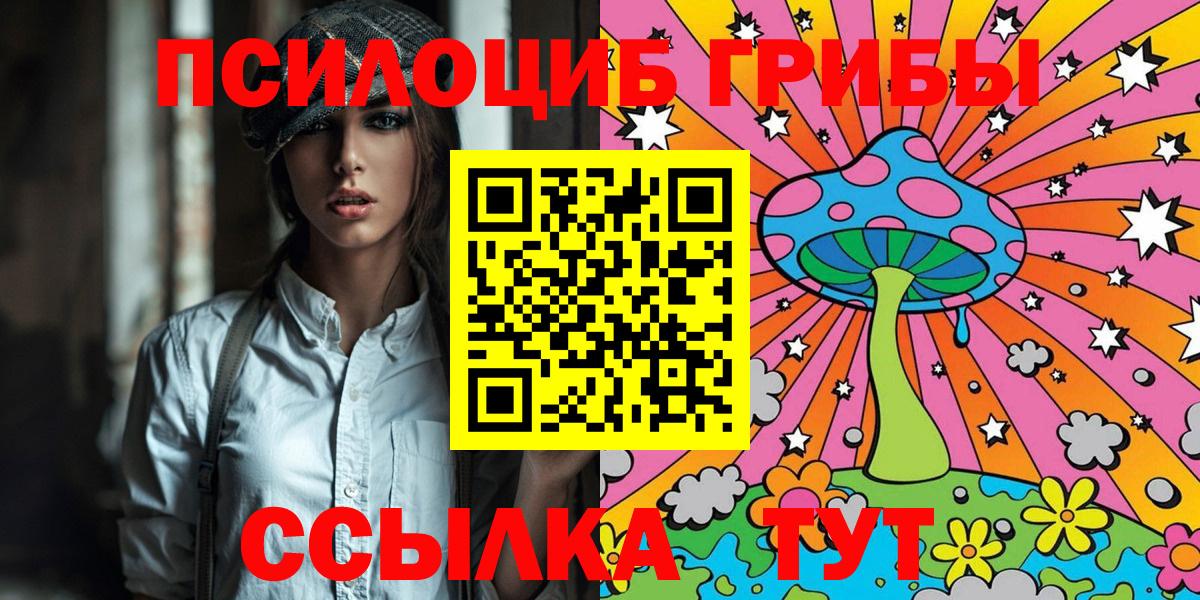 Псилоцибиновые грибы Cubensis  Вход с VPN  Выборг 