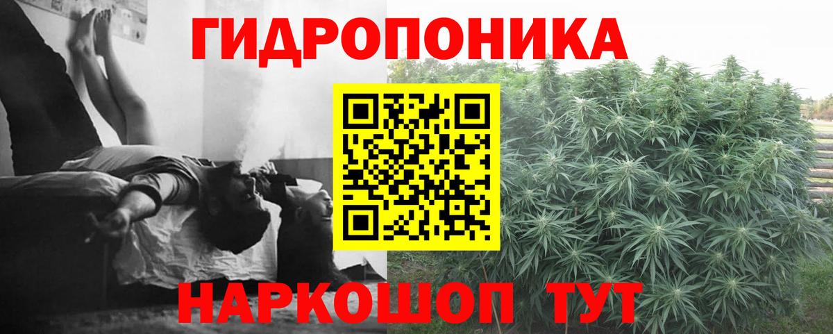 Бошки марихуана конопля  Вход с VPN  Бошки Шишки план  МАРИХУАНА LSD WEED  Выборг 